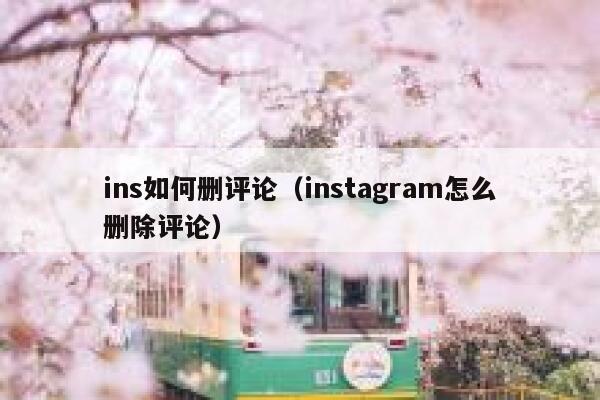 ins如何删评论（instagram怎么删除评论） 第1张