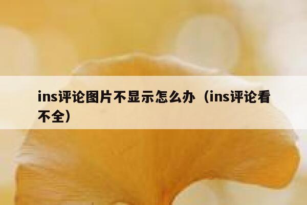 ins评论图片不显示怎么办（ins评论看不全） 第1张