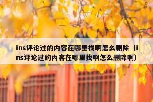 ins评论过的内容在哪里找啊怎么删除（ins评论过的内容在哪里找啊怎么删除啊） 第1张