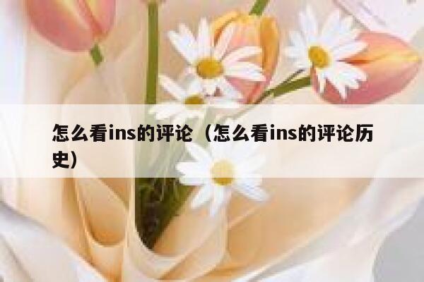 怎么看ins的评论（怎么看ins的评论历史） 第1张