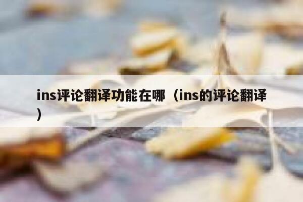 ins评论翻译功能在哪（ins的评论翻译） 第1张