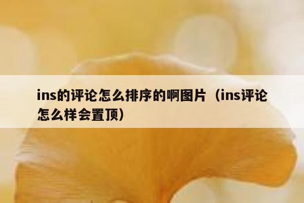 ins的评论怎么排序的啊图片（ins评论怎么样会置顶） 第1张