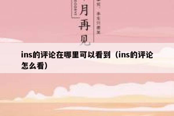 ins的评论在哪里可以看到（ins的评论怎么看） 第1张
