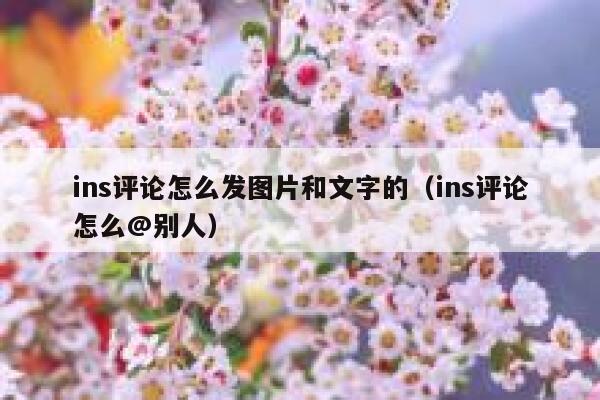 ins评论怎么发图片和文字的（ins评论怎么@别人） 第1张