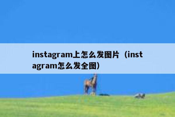 instagram上怎么发图片（instagram怎么发全图） 第1张