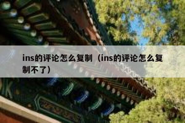 ins的评论怎么复制（ins的评论怎么复制不了） 第1张