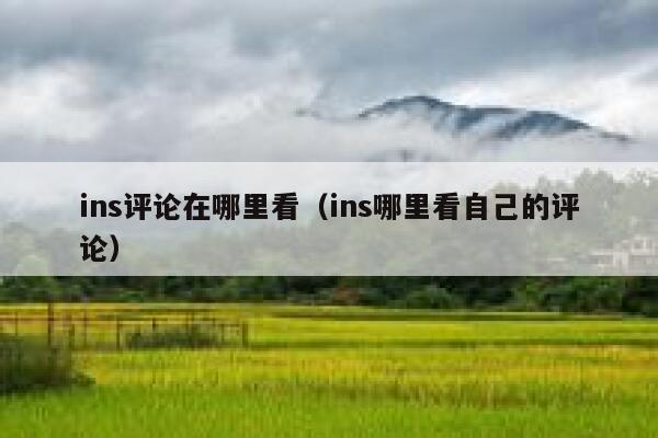 ins评论在哪里看（ins哪里看自己的评论） 第1张