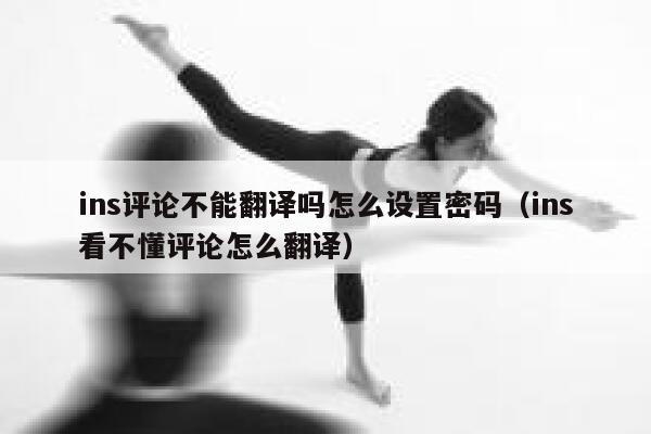 ins评论不能翻译吗怎么设置密码（ins看不懂评论怎么翻译） 第1张