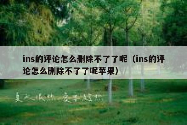 ins的评论怎么删除不了了呢（ins的评论怎么删除不了了呢苹果） 第1张