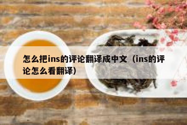 怎么把ins的评论翻译成中文（ins的评论怎么看翻译） 第1张