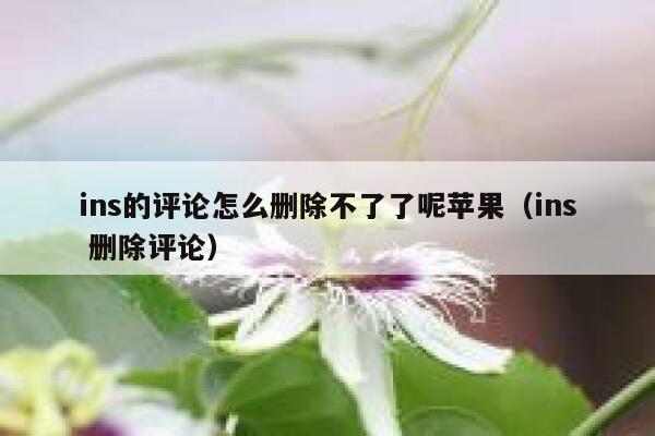 ins的评论怎么删除不了了呢苹果（ins 删除评论） 第1张