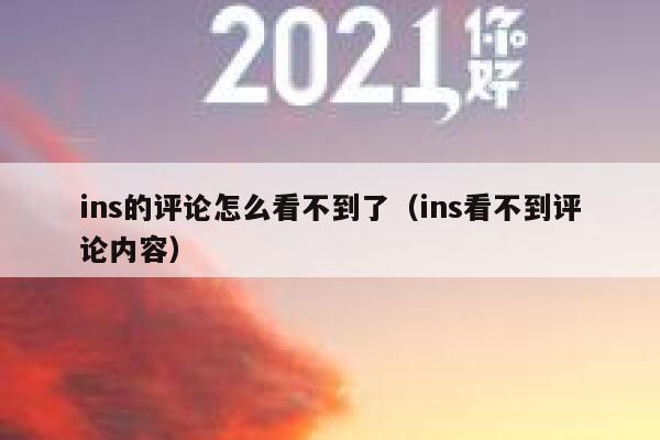 ins的评论怎么看不到了（ins看不到评论内容） 第1张