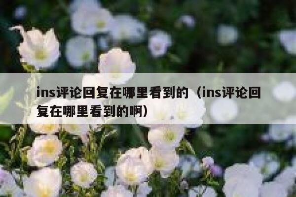 ins评论回复在哪里看到的（ins评论回复在哪里看到的啊） 第1张