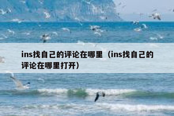 ins找自己的评论在哪里（ins找自己的评论在哪里打开） 第1张