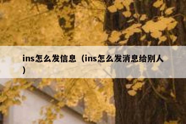 ins怎么发信息（ins怎么发消息给别人） 第1张