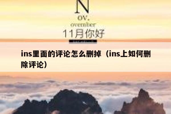 ins里面的评论怎么删掉（ins上如何删除评论） 第1张