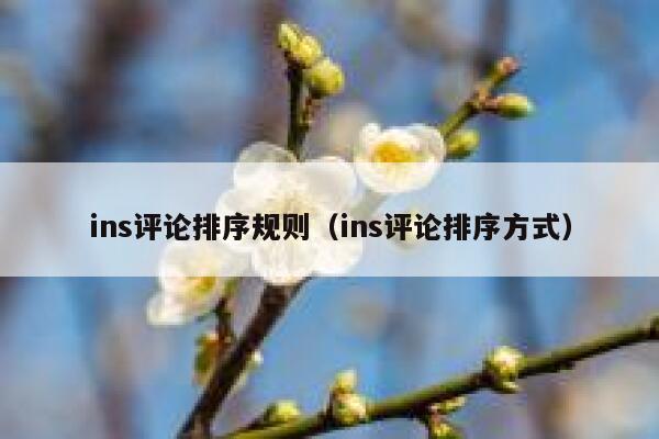 ins评论排序规则（ins评论排序方式） 第1张