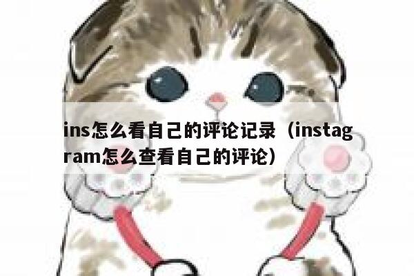 ins怎么看自己的评论记录（instagram怎么查看自己的评论） 第1张
