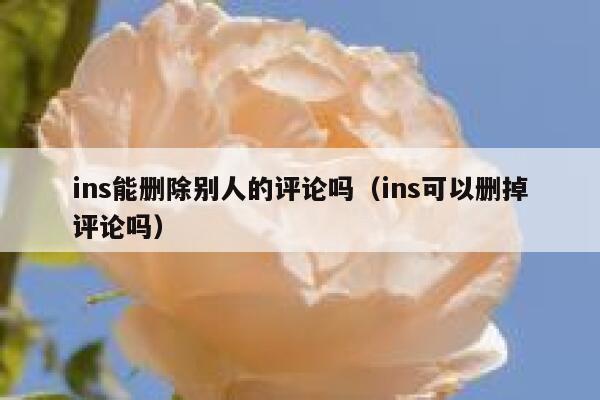 ins能删除别人的评论吗（ins可以删掉评论吗） 第1张