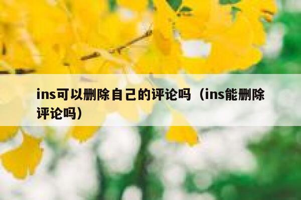 ins可以删除自己的评论吗（ins能删除评论吗） 第1张