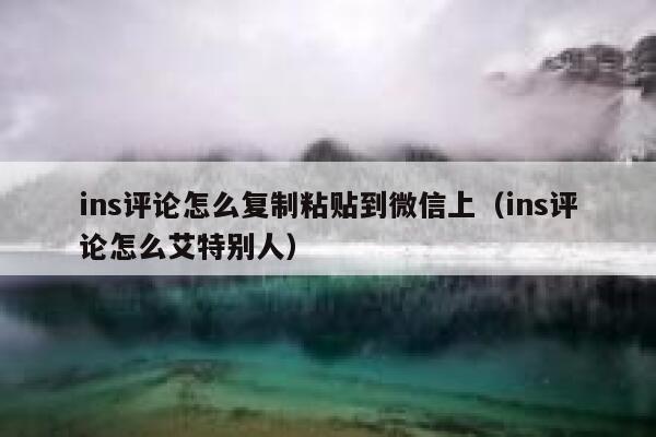 ins评论怎么复制粘贴到微信上（ins评论怎么艾特别人） 第1张