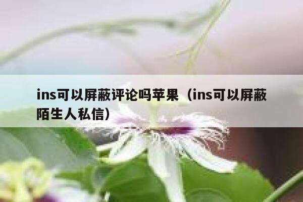 ins可以屏蔽评论吗苹果（ins可以屏蔽陌生人私信） 第1张