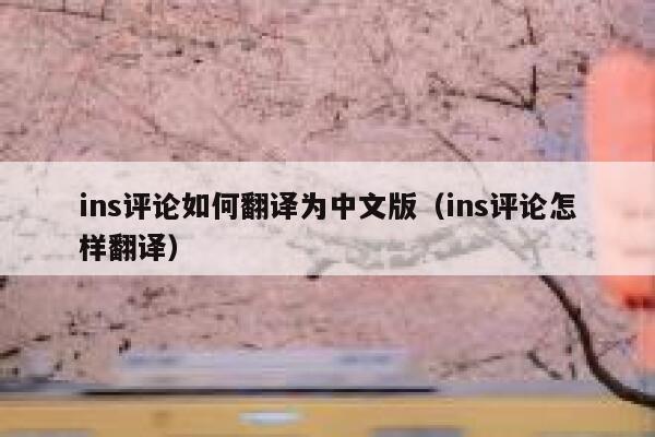 ins评论如何翻译为中文版（ins评论怎样翻译） 第1张