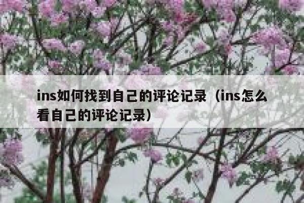 ins如何找到自己的评论记录（ins怎么看自己的评论记录） 第1张
