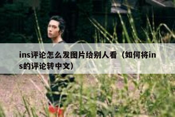 ins评论怎么发图片给别人看（如何将ins的评论转中文） 第1张