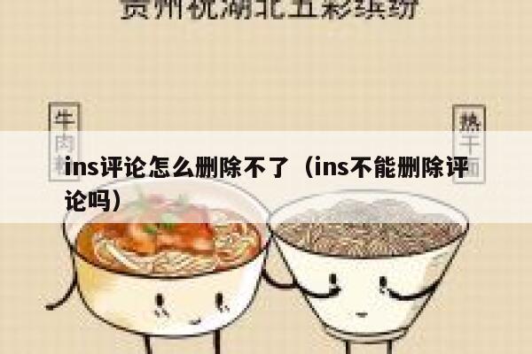 ins评论怎么删除不了（ins不能删除评论吗） 第1张