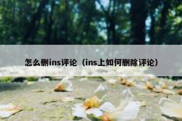 怎么删ins评论（ins上如何删除评论） 第1张