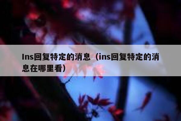 Ins回复特定的消息（ins回复特定的消息在哪里看） 第1张