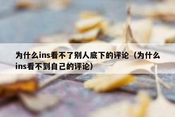为什么ins看不了别人底下的评论（为什么ins看不到自己的评论） 第1张