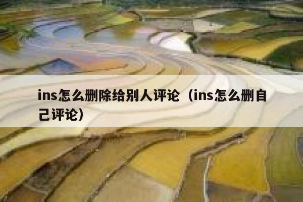 ins怎么删除给别人评论（ins怎么删自己评论） 第1张
