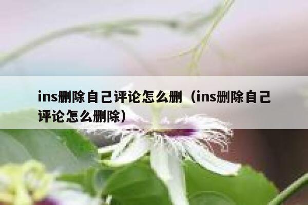 ins删除自己评论怎么删（ins删除自己评论怎么删除） 第1张