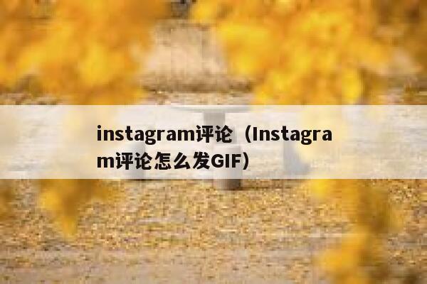 instagram评论（Instagram评论怎么发GIF） 第1张