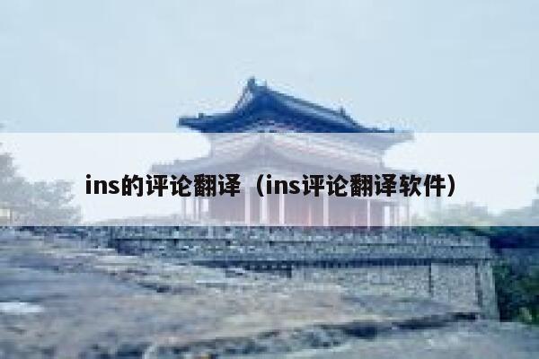 ins的评论翻译（ins评论翻译软件） 第1张