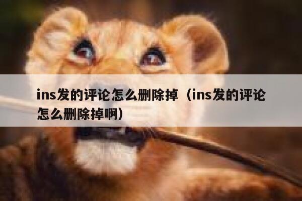 ins发的评论怎么删除掉（ins发的评论怎么删除掉啊） 第1张