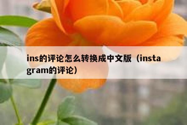 ins的评论怎么转换成中文版（instagram的评论） 第1张