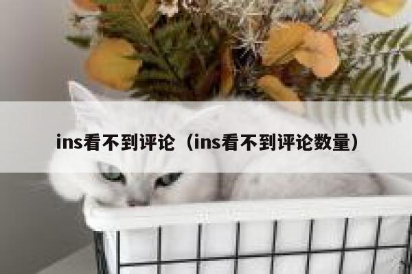 ins看不到评论（ins看不到评论数量） 第1张
