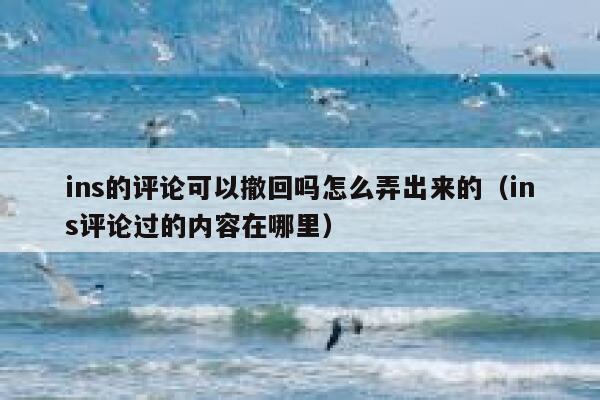 ins的评论可以撤回吗怎么弄出来的（ins评论过的内容在哪里） 第1张