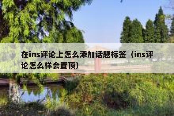 在ins评论上怎么添加话题标签（ins评论怎么样会置顶） 第1张