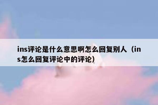 ins评论是什么意思啊怎么回复别人（ins怎么回复评论中的评论） 第1张