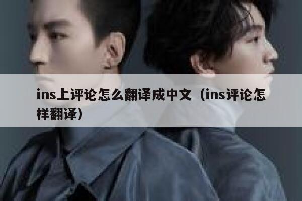 ins上评论怎么翻译成中文（ins评论怎样翻译） 第1张