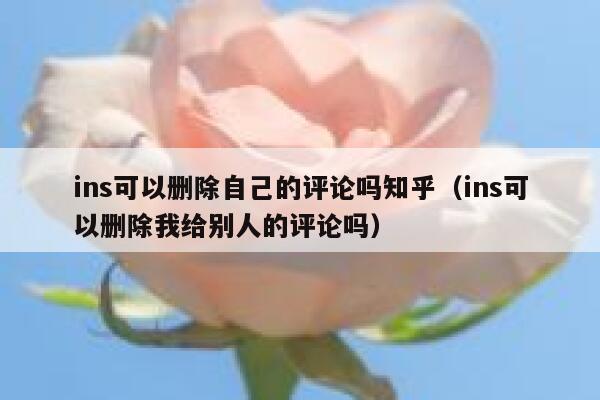 ins可以删除自己的评论吗知乎（ins可以删除我给别人的评论吗） 第1张