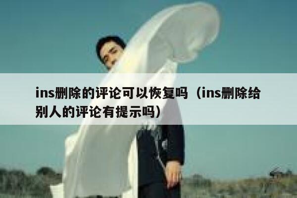 ins删除的评论可以恢复吗（ins删除给别人的评论有提示吗） 第1张