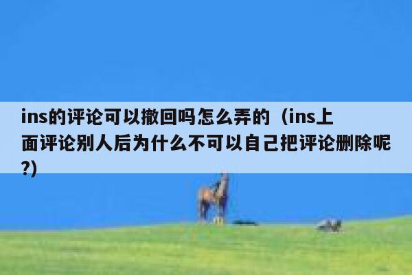 ins的评论可以撤回吗怎么弄的（ins上面评论别人后为什么不可以自己把评论删除呢?） 第1张