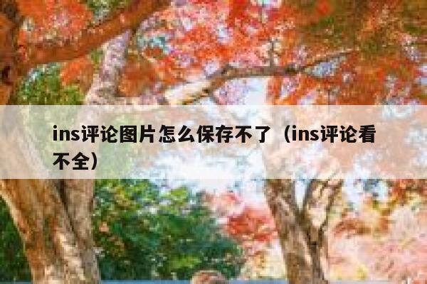 ins评论图片怎么保存不了（ins评论看不全） 第1张