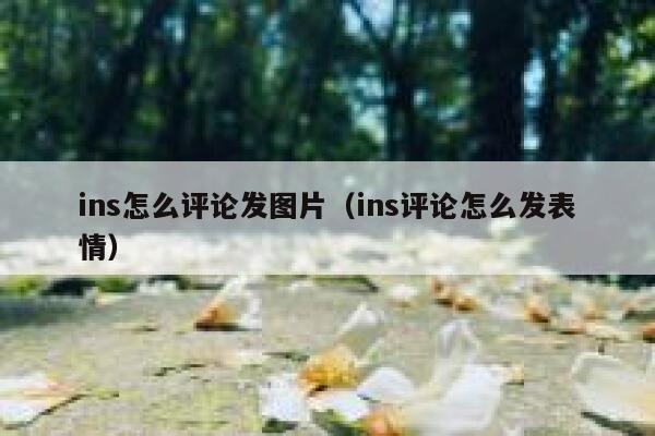 ins怎么评论发图片（ins评论怎么发表情） 第1张