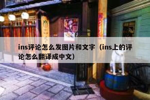 ins评论怎么发图片和文字（ins上的评论怎么翻译成中文） 第1张